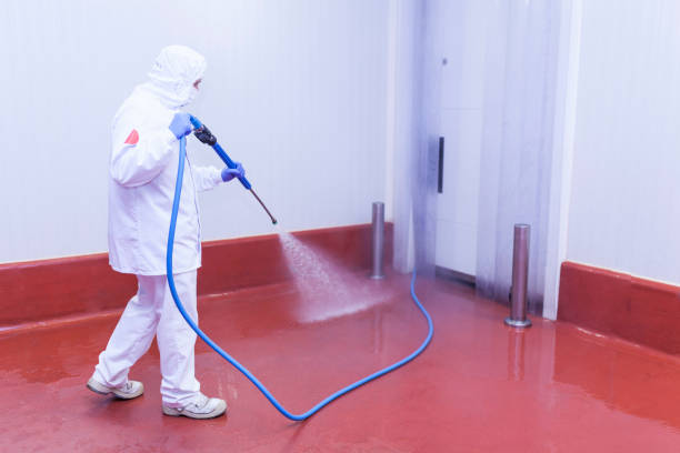 Best Pre-Holiday Cleaning  in Cutler Bay, FL