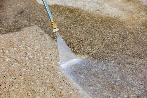 Best Animal Enclosure Cleaning  in Cutler Bay, FL